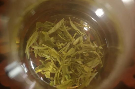 碧螺春正確泡法和飲用，碧螺春茶泡茶方法與溫度