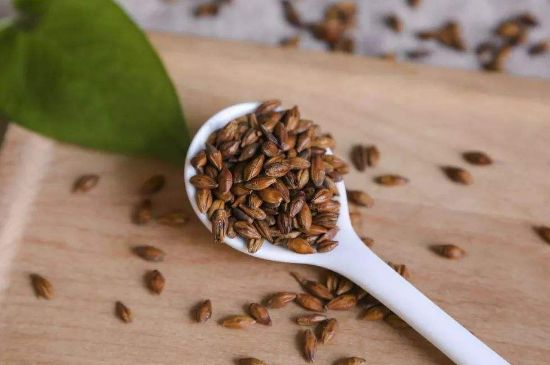 大麥茶上火嗎，喝大麥茶會(huì)不會(huì)上火？