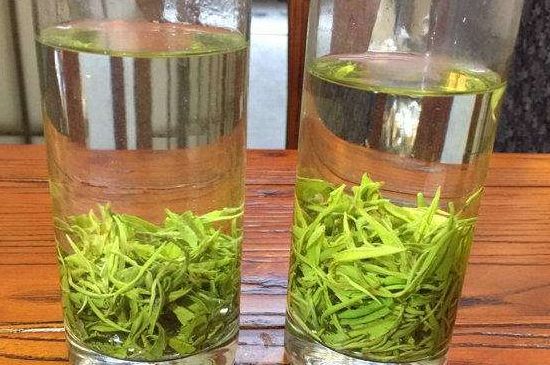 黃金茶的功效及禁忌癥，黃金茶有什么副作用嗎？