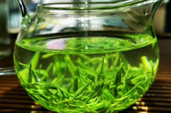 喝黃金茶禁忌，什么人不能喝黃金芽茶？