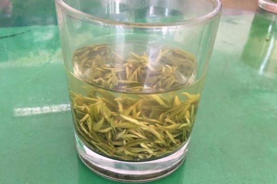 碧螺春正確泡法和飲用，碧螺春茶泡茶方法與溫度