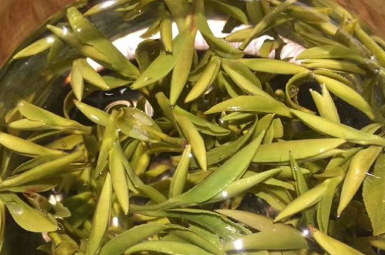 八大茶系都有哪幾種，八大茶系都是什么名字