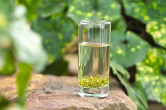 碧螺春沖泡三要素，碧螺春怎么泡才正確？