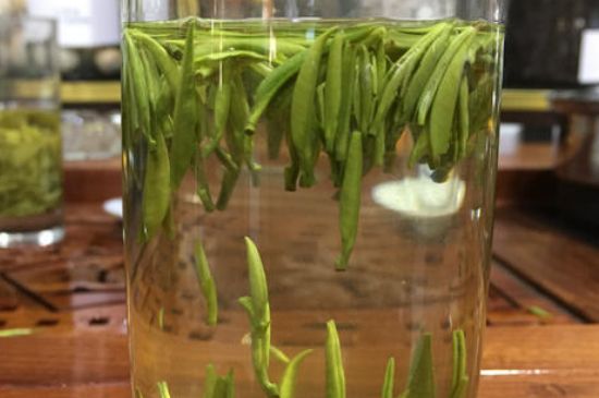 雀舌茶的副作用，雀舌茶什么人不能喝？