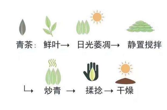 茶葉名稱大全和圖片，茶葉名字大全三四個字！