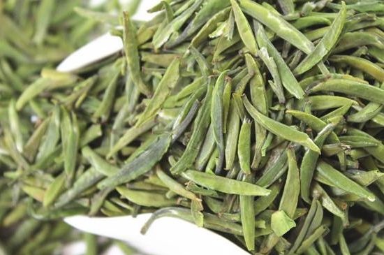 雀舌茶什么人不能喝，雀舌茶的功效與禁忌