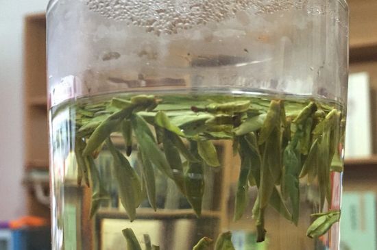 煮茶器能煮龍井嗎，龍井茶能不能用煮茶器圖