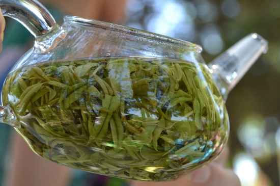 新手學(xué)泡茶的基本常識(shí)，從零開始學(xué)泡茶