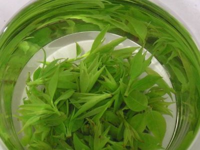 茶葉具有什么功效，茶葉的功效與作用大全