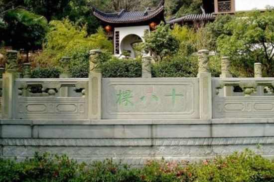 世界最貴的茶葉排行榜，十大最貴的茶