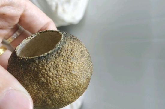 小青柑多少錢一盒，新會(huì)小青柑普茶價(jià)格一斤多少