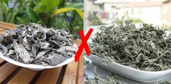 張家界茅巖莓茶與藤茶是同一種茶嗎，藤茶跟莓茶一不一樣？