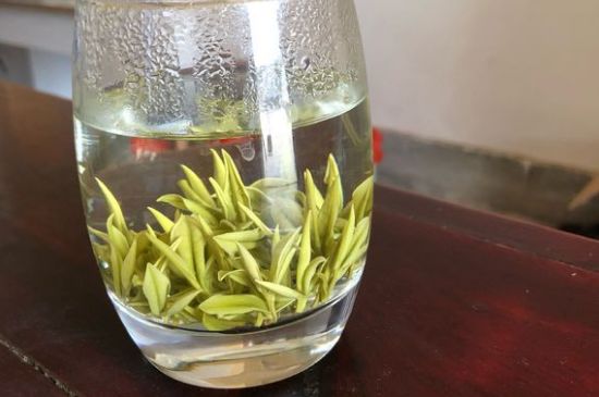 安吉白茶耐寒嗎，白茶適合放冰箱嗎