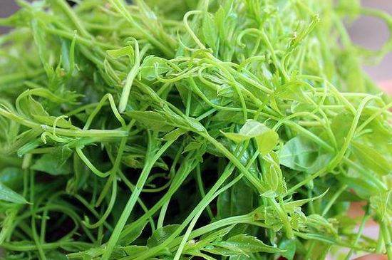 茅巖莓茶別名是什么，莓茶別名叫藤茶嗎？