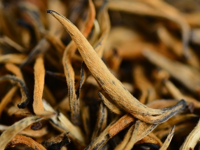 怎么知道什么茶葉適合自己，怎么判斷自己適合喝什么茶？