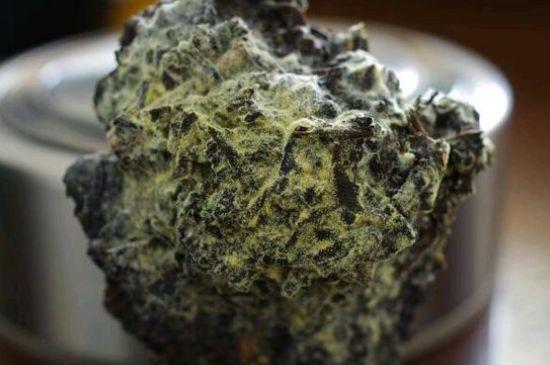 涇渭茯茶保質(zhì)期多久，陜西涇渭茯茶能放幾年