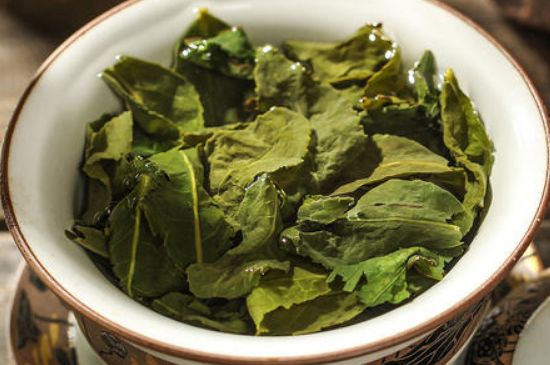 陳茶還是新茶好，茶葉是新茶好喝還是陳茶好喝