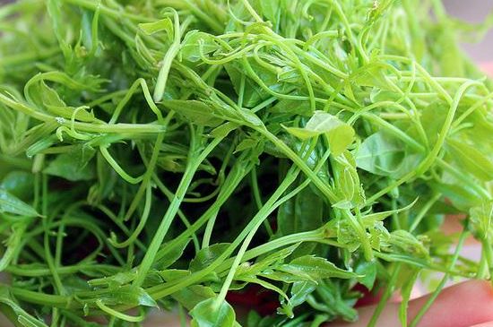 茅巖莓茶保質(zhì)期有多久，張家界莓茶存放時(shí)間長(zhǎng)了還能喝嗎？