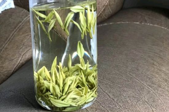 安吉白茶夏天怎么保存，安吉白茶能冷凍儲存嗎？