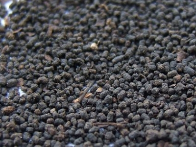 圓形顆粒狀茶是什么茶，像飼料一樣一粒粒的是什么茶？