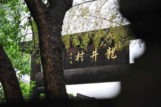 杭州買龍井茶攻略，怎么買到正宗的西湖龍井？