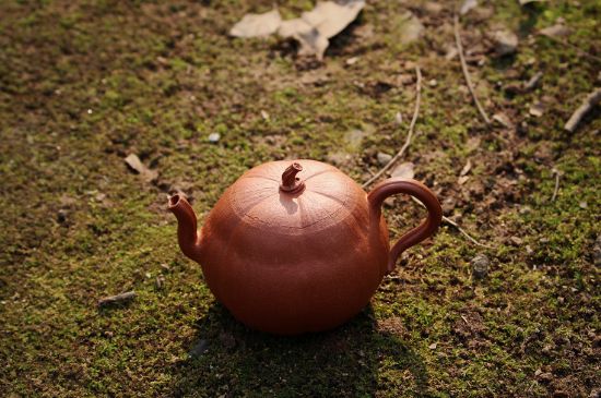 紫砂壺泡什么茶最佳，紫砂壺一般泡什么茶？