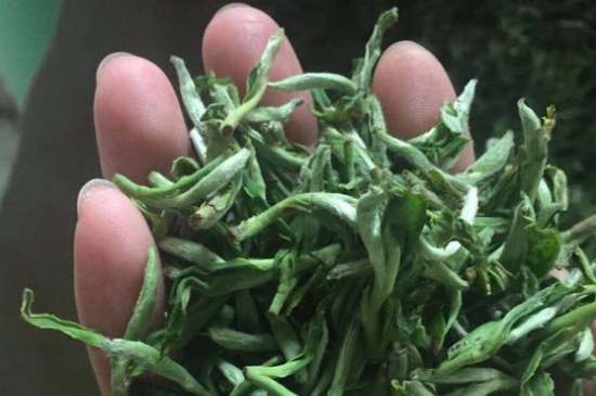 茉莉茶如何制作曬干，自制茉莉茶的做法