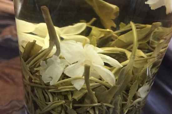 女孩喝茉莉茶的好處，茉莉茶葉的功效與禁忌