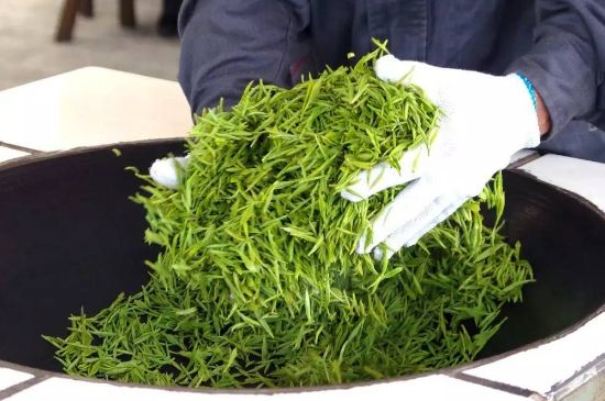 自家炒茶葉怎么炒，自己炒茶葉的步驟