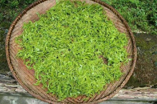 茅巖莓茶加工工藝，莓茶的工藝制作過程