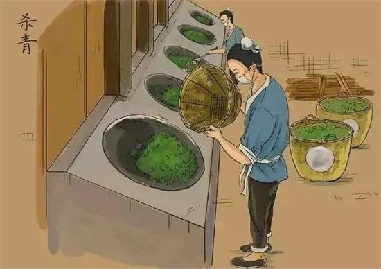 制茶八步驟，制茶工藝流程圖