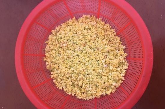 干桂花茶的制作方法，怎樣自制桂花茶？