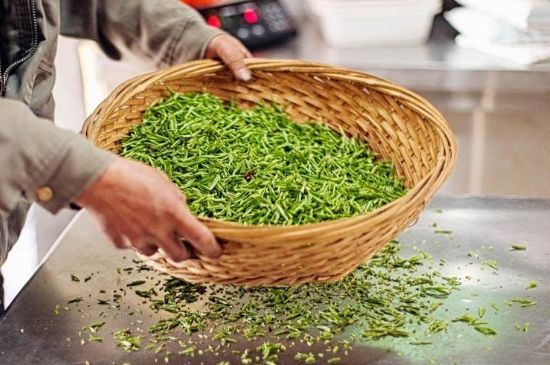 武夷巖茶的初制、精制加工工藝詳細(xì)講解