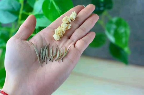 茉莉銀針口感，茉莉銀針是什么味道？