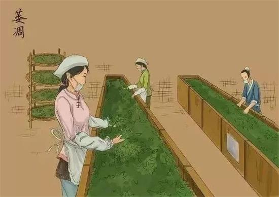 制茶八步驟，制茶工藝流程圖