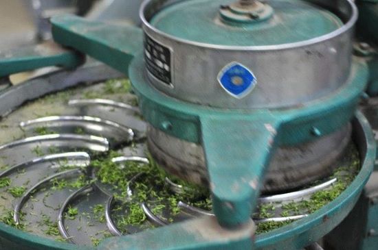 武夷巖茶的初制、精制加工工藝詳細(xì)講解