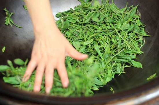 炒青綠茶與綠茶的區(qū)別，烘青和炒青哪個(gè)好喝？