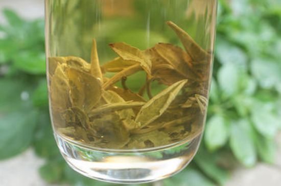 茉莉龍珠泡開后為什么都是梗，茉莉龍珠泡開后什么樣？