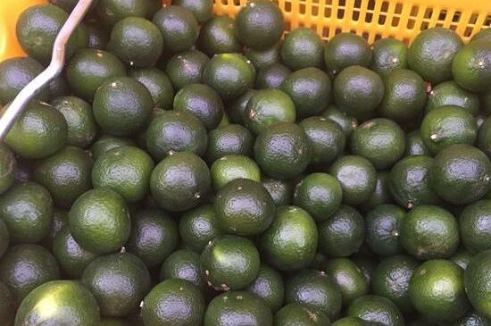 家庭自制柑普茶方法，小青柑制作9個(gè)步驟竅門（圖片）