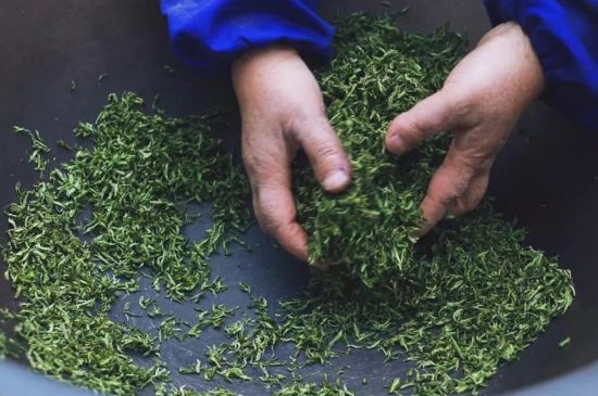 自家炒茶葉怎么炒，自己炒茶葉的步驟