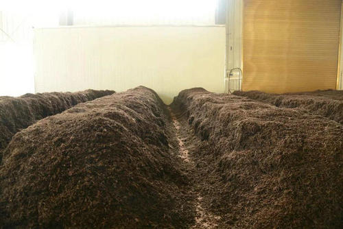 制茶八步驟，制茶工藝流程圖