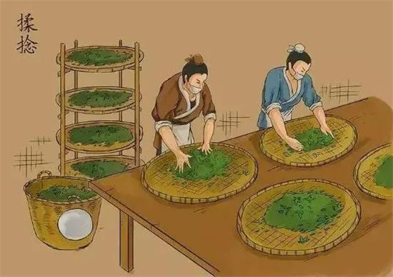 制茶八步驟，制茶工藝流程圖