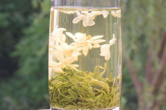 茉莉龍珠可以和什么一起泡茶，茉莉龍珠茶能加蜂蜜嗎？