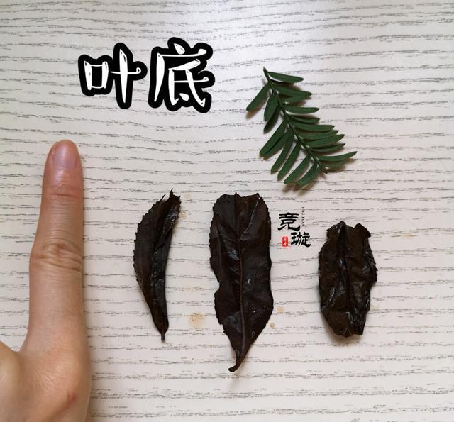 正山小種很細(xì)還很黑亮，正山小種越細(xì)越好嗎
