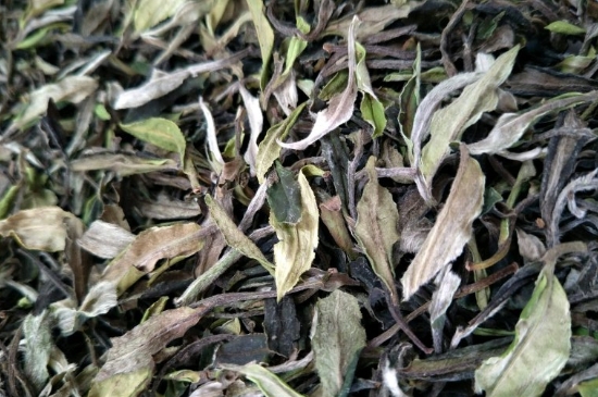 福鼎白茶貢眉和壽眉的區(qū)別，壽眉與貢眉有什么區(qū)別