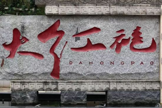 母樹大紅袍給誰(shuí)喝了，為什么母樹大紅袍叫三棵六株？