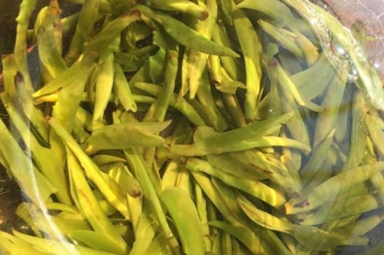 龍井是明前的好還是雨前的好，明前茶和雨前茶哪個(gè)好喝？