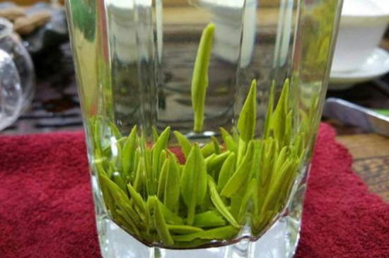 雀舌有一股青草味，雀舌為什么有青草味？