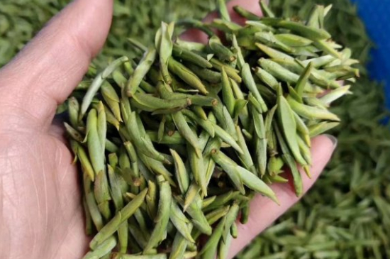 龍井茶好壞的鑒別圖片，如何區(qū)別龍井茶的好壞？