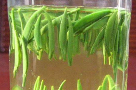 竹葉青和毛尖的區(qū)別，毛尖和竹葉青怎么分辨？